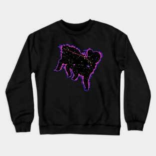 Accurate Aries Crewneck Sweatshirt